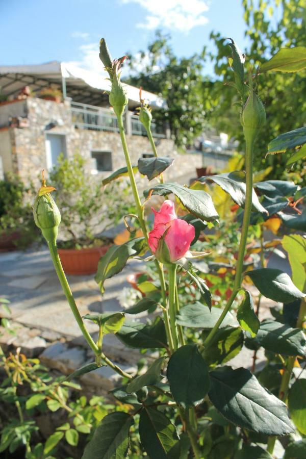 B&B Ca Dei Fre Генуя Экстерьер фото